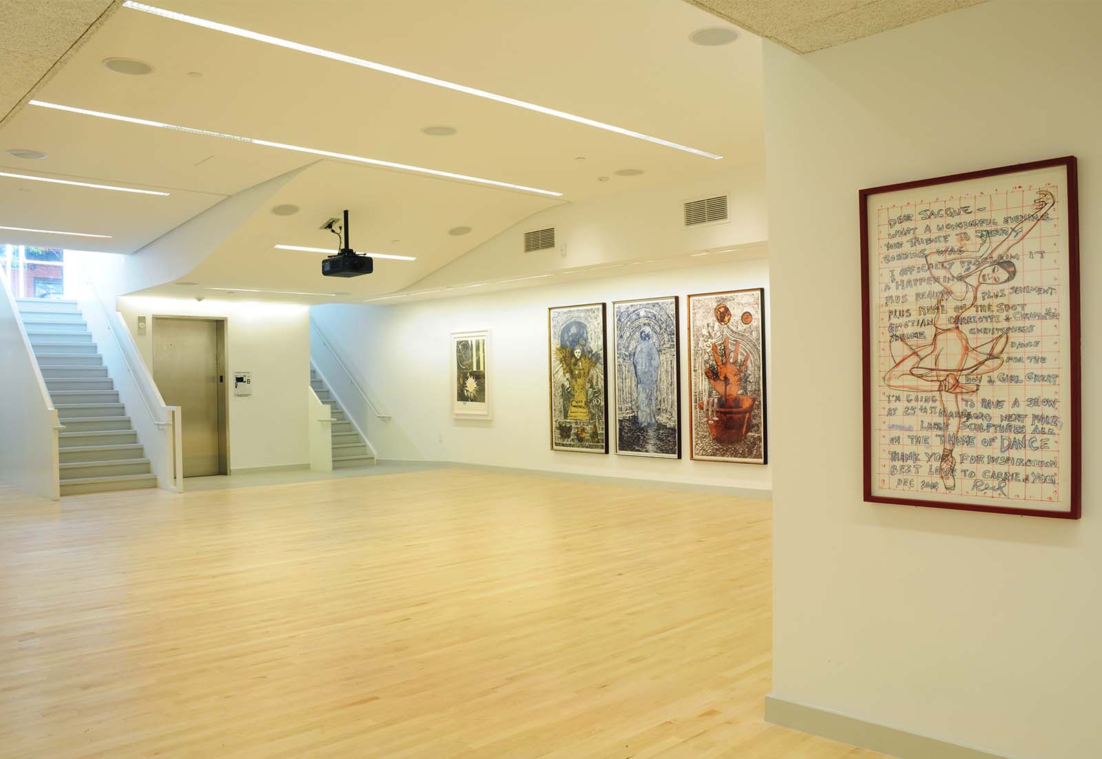 national dance institute gallery